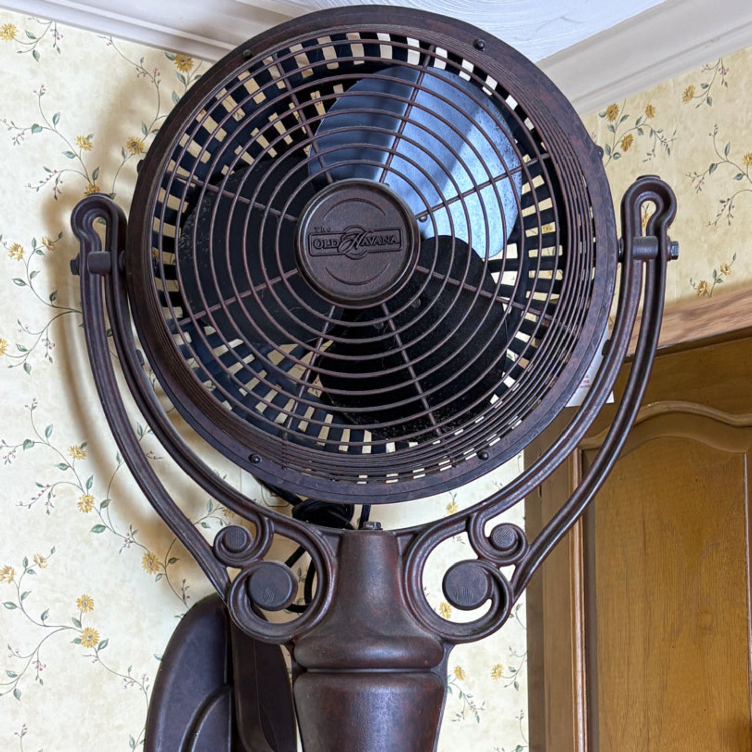 Fanimation Old Havana wall-mounted fan with vintage tropical design for cafés, restaurants, patios, and interior spaces in Indonesia | Kipas dinding Fanimation Old Havana dengan desain vintage tropis untuk kafe, restoran, teras, dan interior di Indonesia