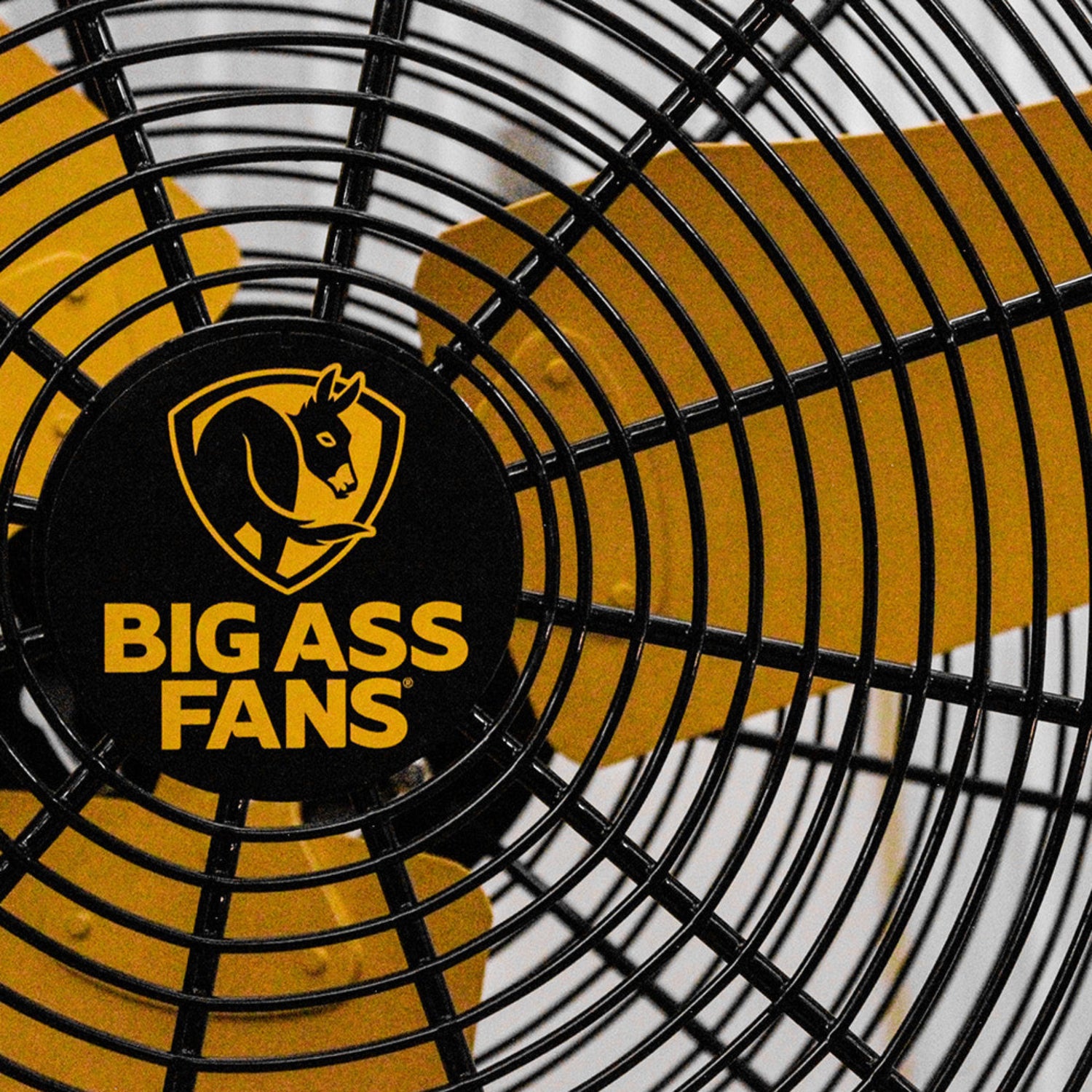 Big Ass Fans AirEye Directional Fan / Kipas Angin Directional Big Ass Fans AirEye