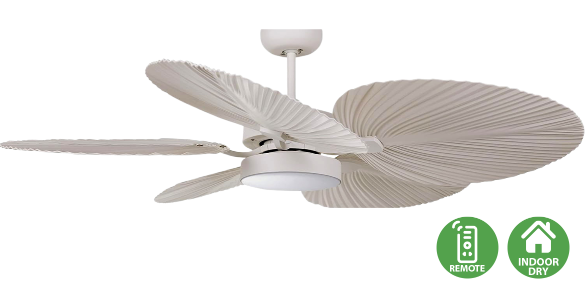Bali Fan