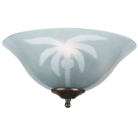 Thumbnail for lighting equipment Frosted Tropical Bowl Glass