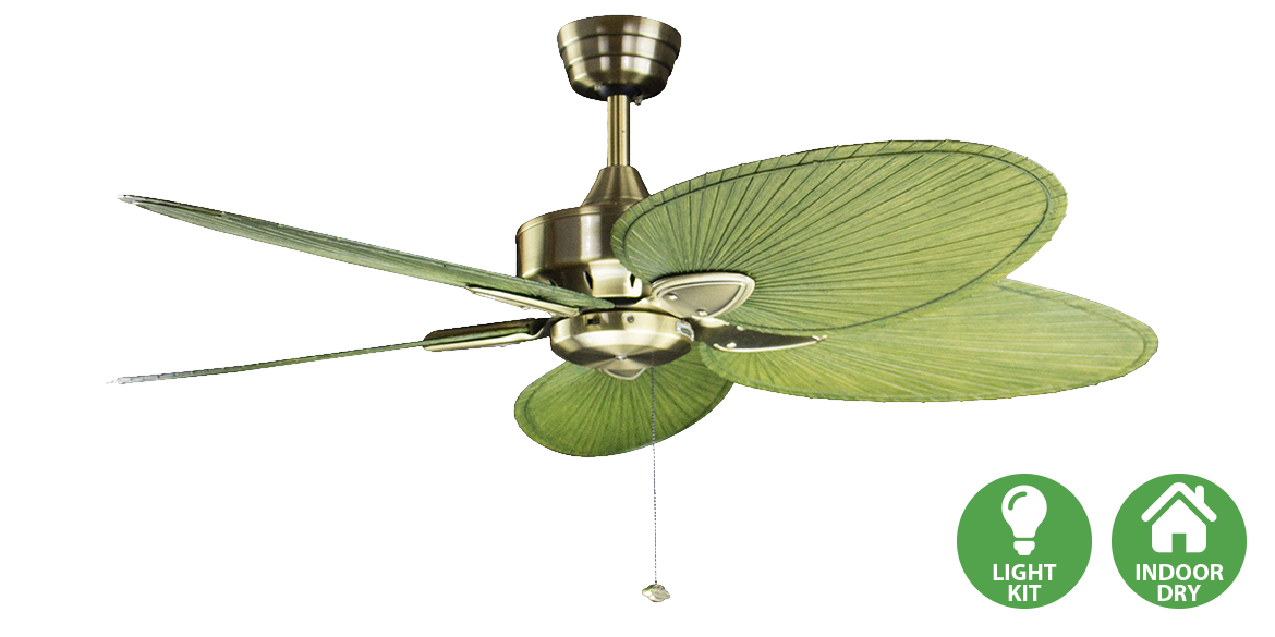 The Windpointe Ceiling Fan